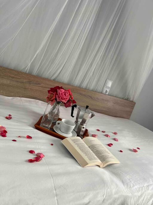 Sissi Olive Home מראה חיצוני תמונה